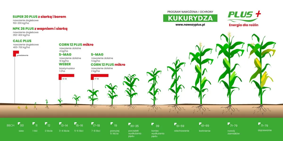 Zdjęcie Ile dopłaty do nawozu? Sprawdź, jak uzyskać wsparcie finansowe