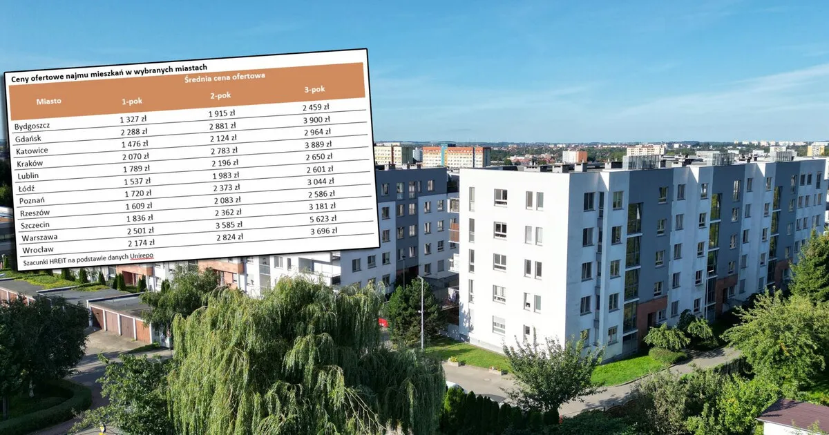 Zdjęcie Ile kosztuje wynajem lokalu w Polsce? Ceny, które musisz znać