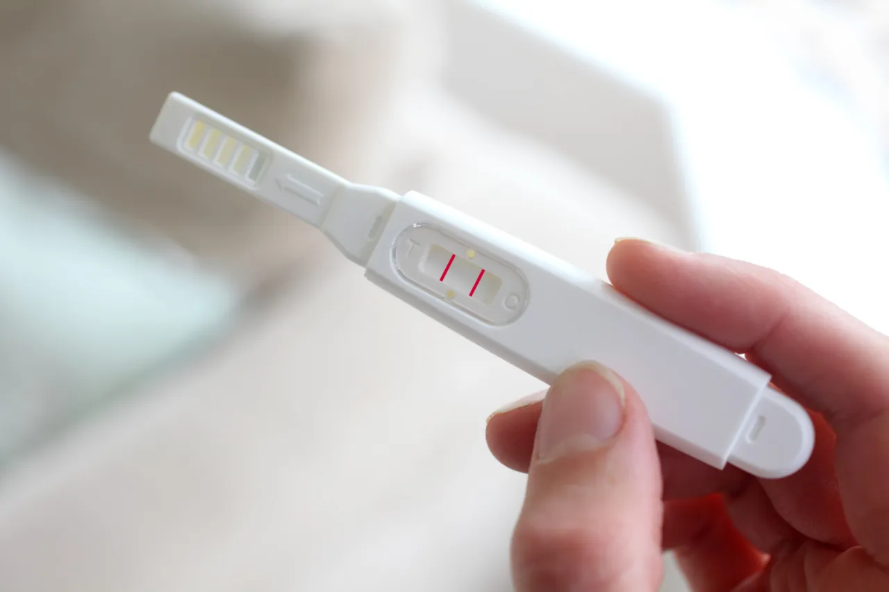 Zdjęcie Gdzie kupić test ciążowy dla psa? Sprawdź najlepsze opcje!