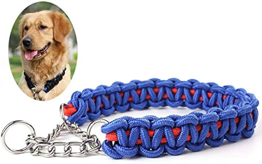 Zdjęcie Jak dobrać idealną obrożę dla golden retrievera - kompletny poradnik