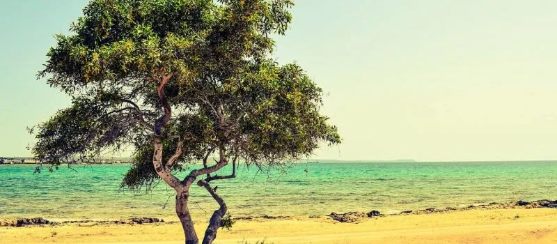 Zdjęcie Ile trwa lot na Cypr z Krakowa? Sprawdź czas podróży i trasy