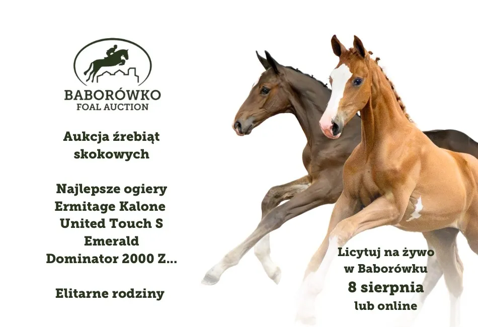 Zdjęcie Jakie formacje nie walczyły konno? Odkryj ich znaczenie w historii
