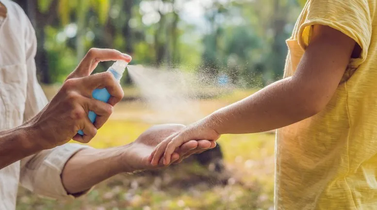Zdjęcie Skuteczne metody na zwalczanie komarów w piwnicy bez wysiłku