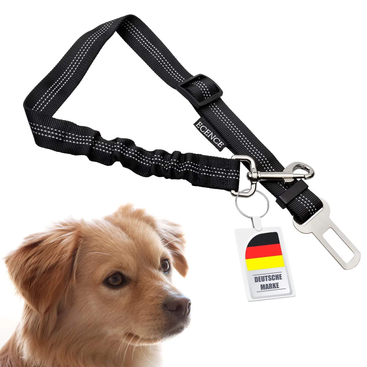 Zdjęcie Sicherheitsgurt Hunde: So schützen Sie Ihren Vierbeiner im Auto
