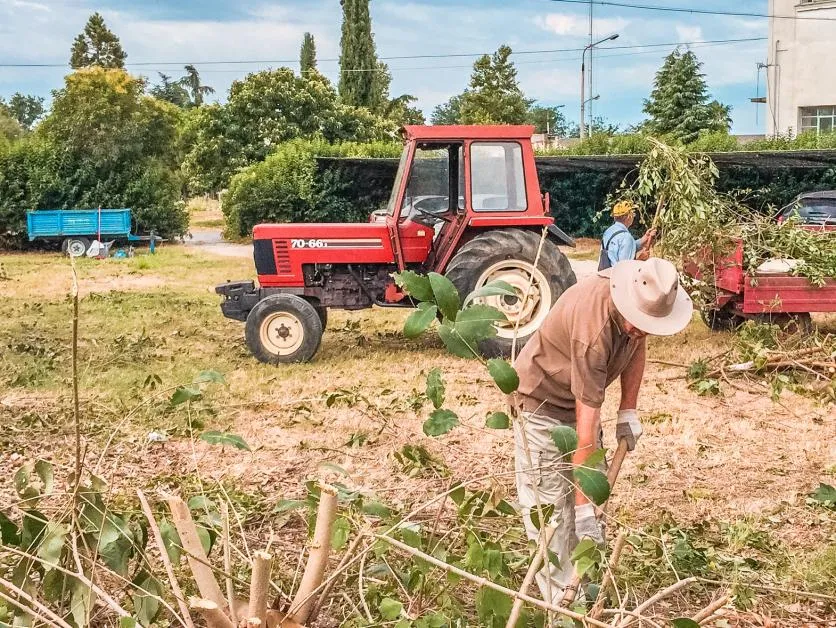 Zdjęcie Jak napisać oświadczenie o pracy w gospodarstwie rolnym bez błędów