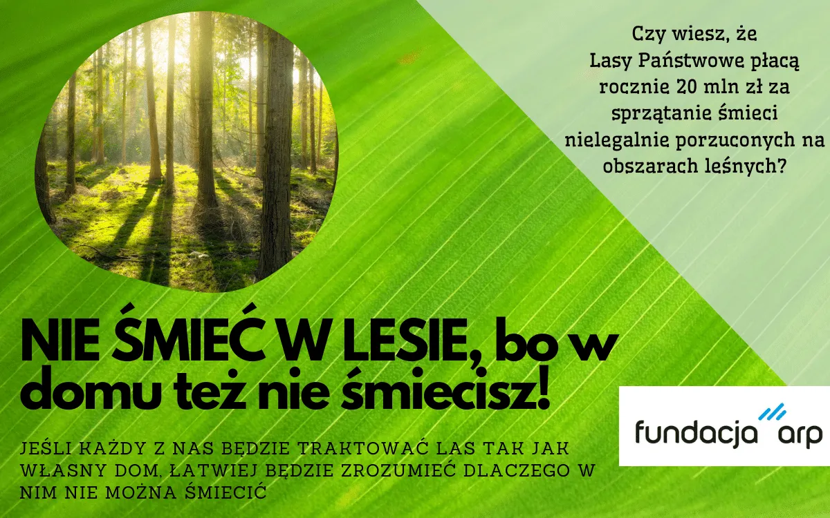 Zdjęcie Dlaczego nie wolno wyrzucać śmieci do lasu? Skutki dla środowiska i zdrowia