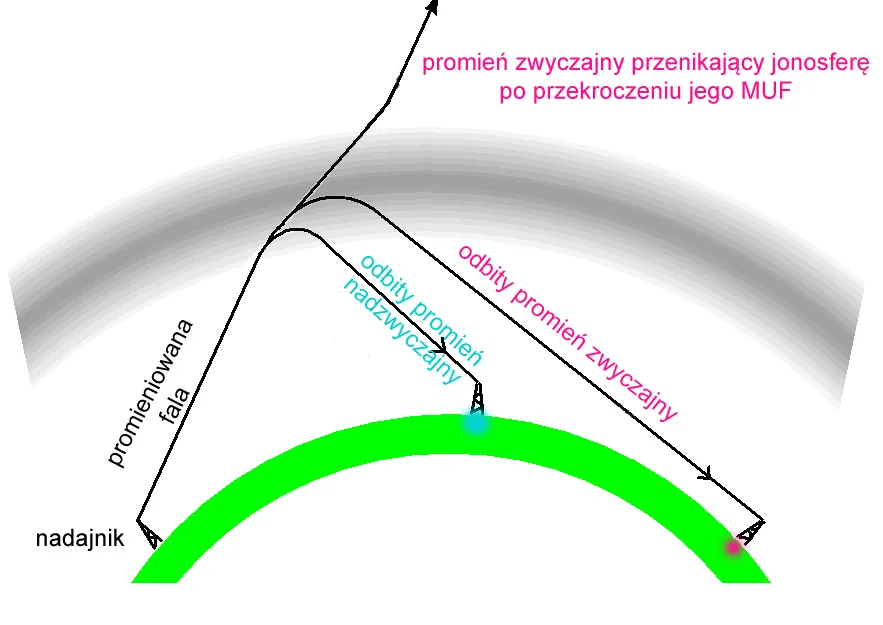 Zdjęcie Kto odkrył fale radiowe i dlaczego to zmieniło świat nauki