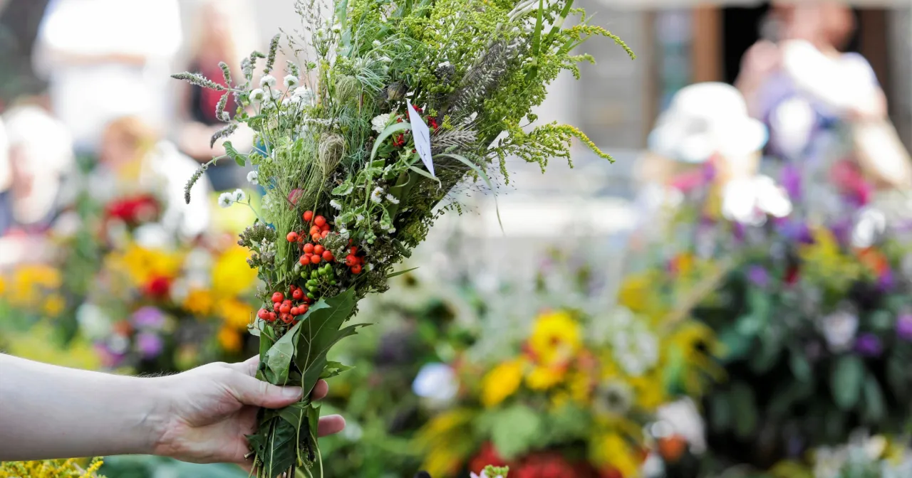 Zdjęcie 15 sierpnia: Dzień wolny od pracy? Sprawdź prawa i zakupy