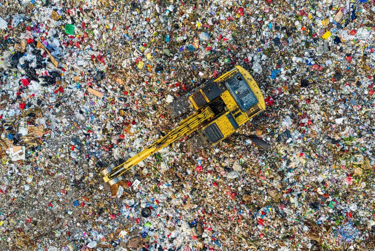 Zdjęcie Gdzie wyrzucić szklanki? Uniknij błędów w recyklingu szkła