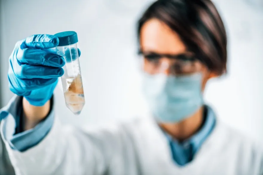 Zdjęcie Badanie sensoryczne na czym polega – klucz do sukcesu w branży