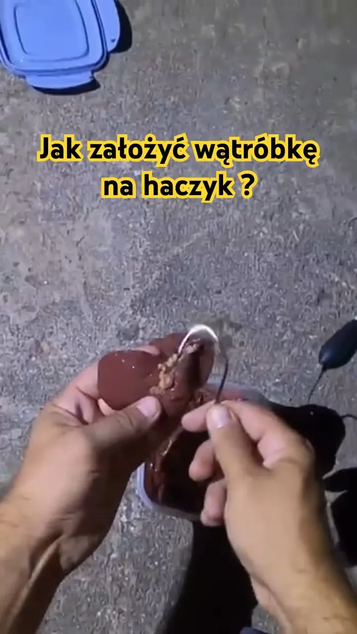 Zdjęcie Jak założyć wątróbkę na haczyk, aby nie stracić ryby przy łowieniu