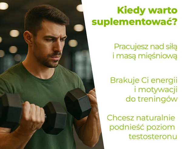 Zdjęcie Jaki testosteron na odchudzanie? Odkryj skuteczne metody wsparcia masy mięśniowej