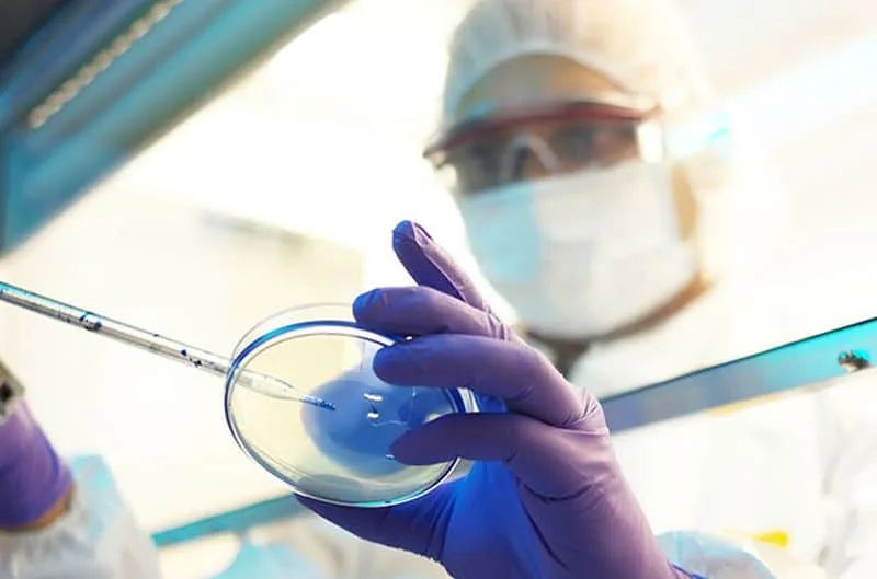 Zdjęcie Czy in vitro to grzech? Poznaj stanowisko Kościoła katolickiego