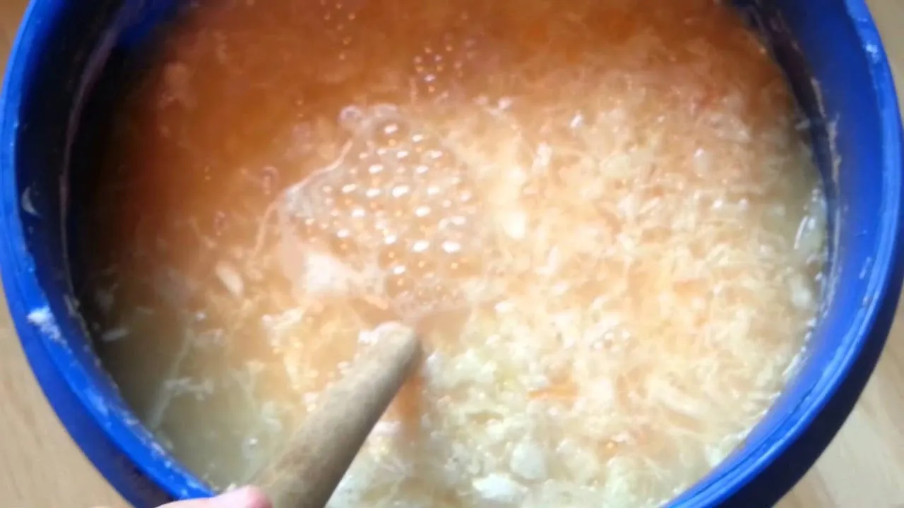 Zdjęcie Jak kisić kapustę w beczce plastikowej - unikaj najczęstszych błędów