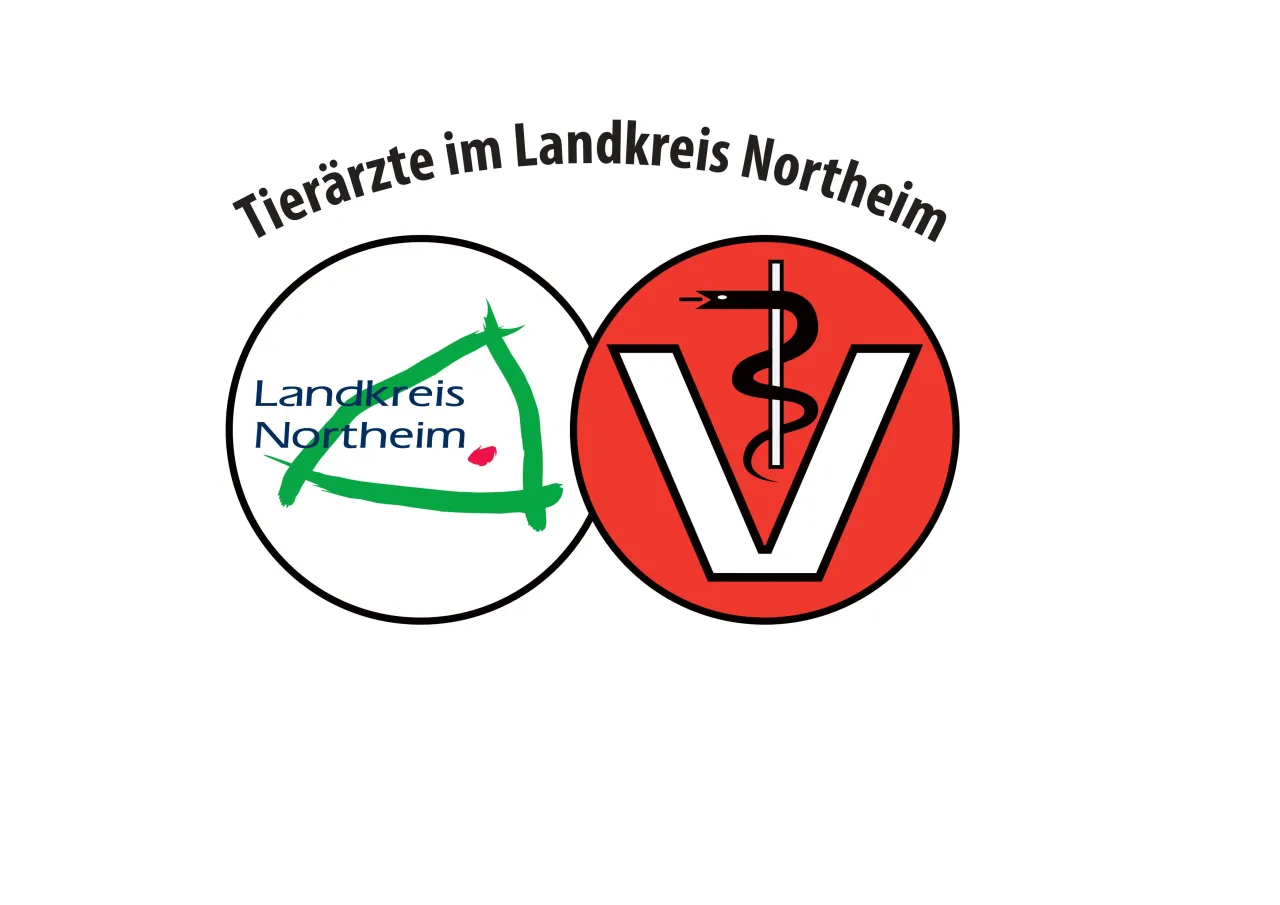 Zdjęcie Was kostet tierarzt notdienst? So vermeiden Sie hohe Notarztkosten