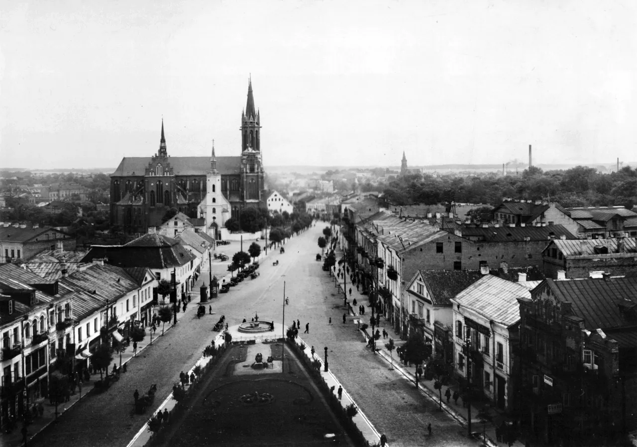 Zdjęcie Cezary Głuch na Wikipedii - poznaj życiorys i osiągnięcia eksperta