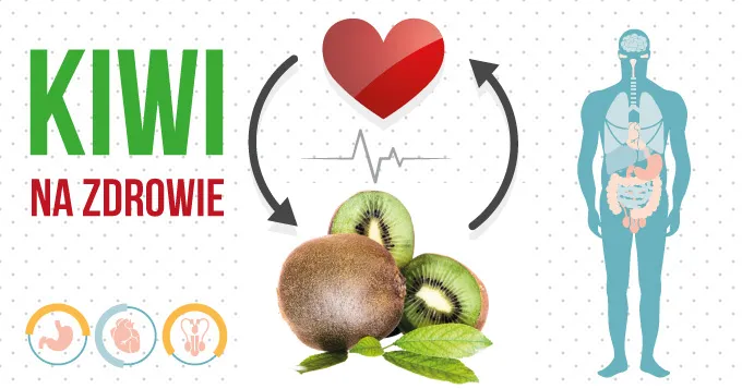 Zdjęcie Kiwi: Ile kalorii, wartości odżywcze i korzyści dla zdrowia?