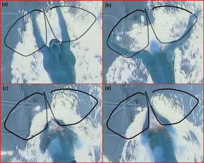 Technika pracy rąk w stylu klasycznym