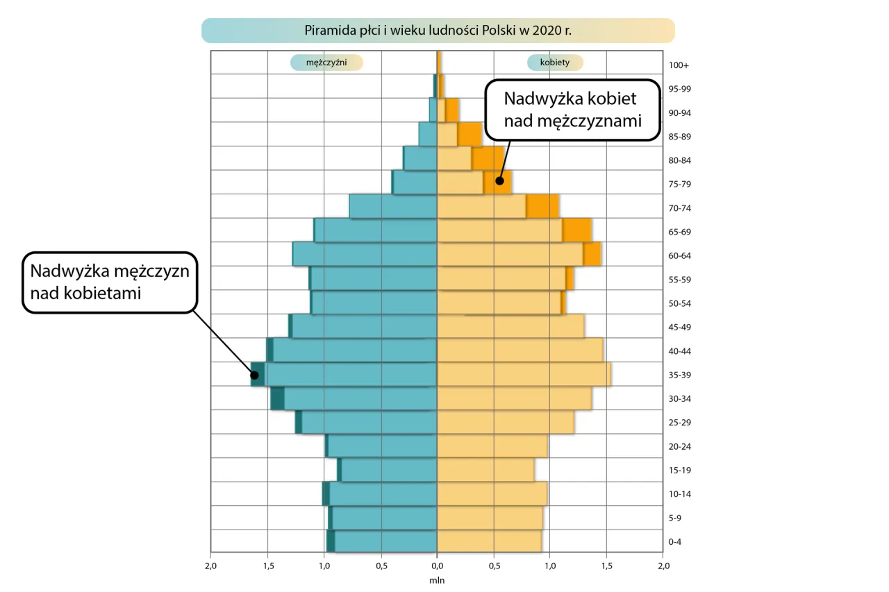 Statystyki demograficzne Polski kobiety mężczyźni