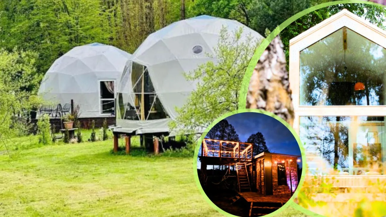 glamping w Polsce, domki na drzewie, jurty, nietypowe noclegi