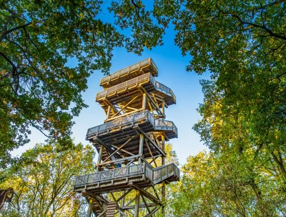 Aussichtsturm Raststätte Dammer Berge Panoramablick