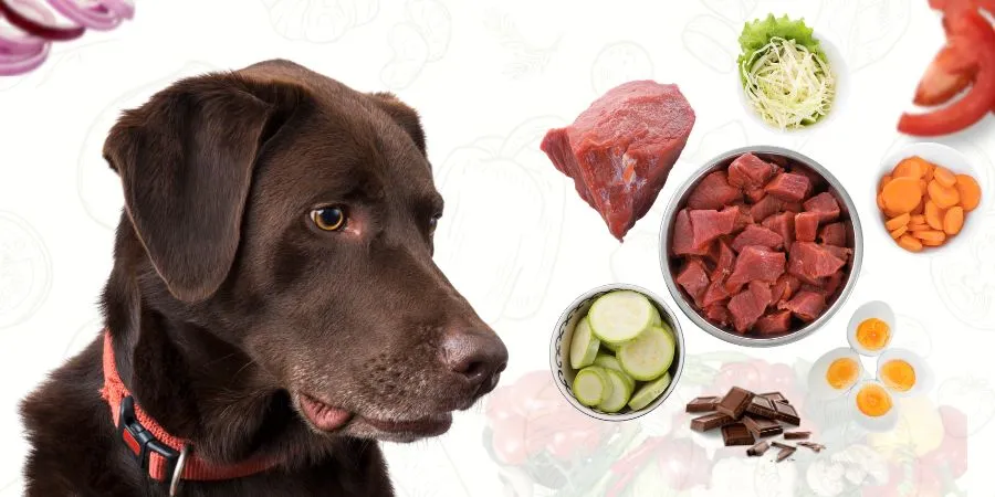 Zakazane składniki w diecie psa przekreślone