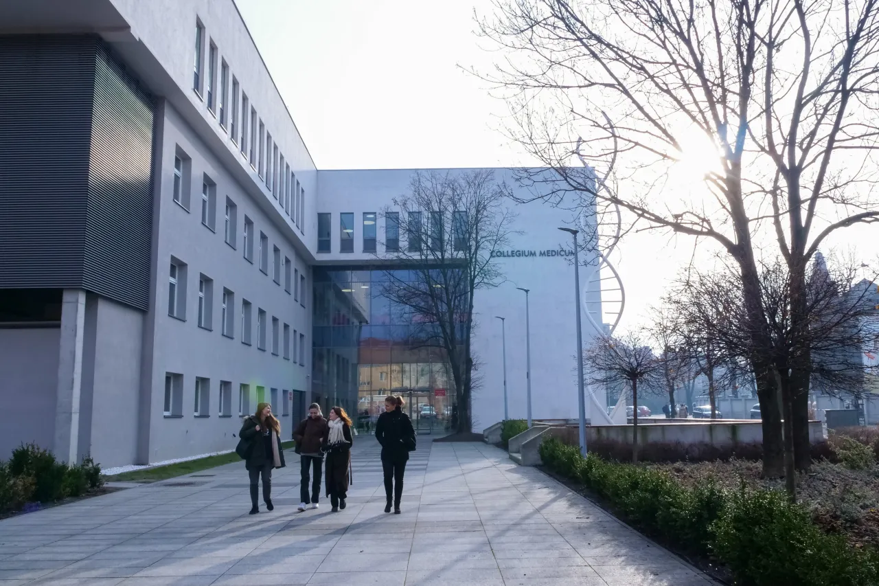 Zdjęcie Uniwersytet Opolski lekarski - poznaj wymagania i program studiów