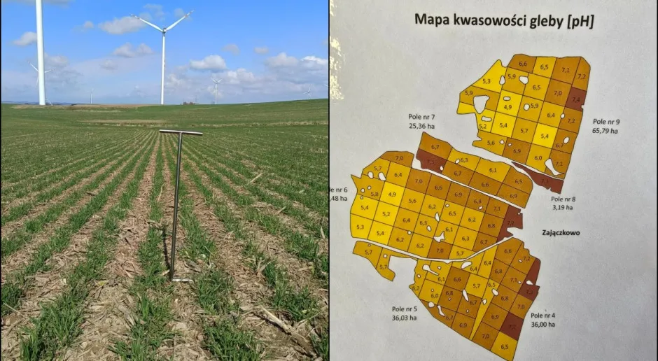 Mapa zasobności gleby pH kukurydza