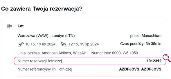 Wizz Air odprawa online harmonogram