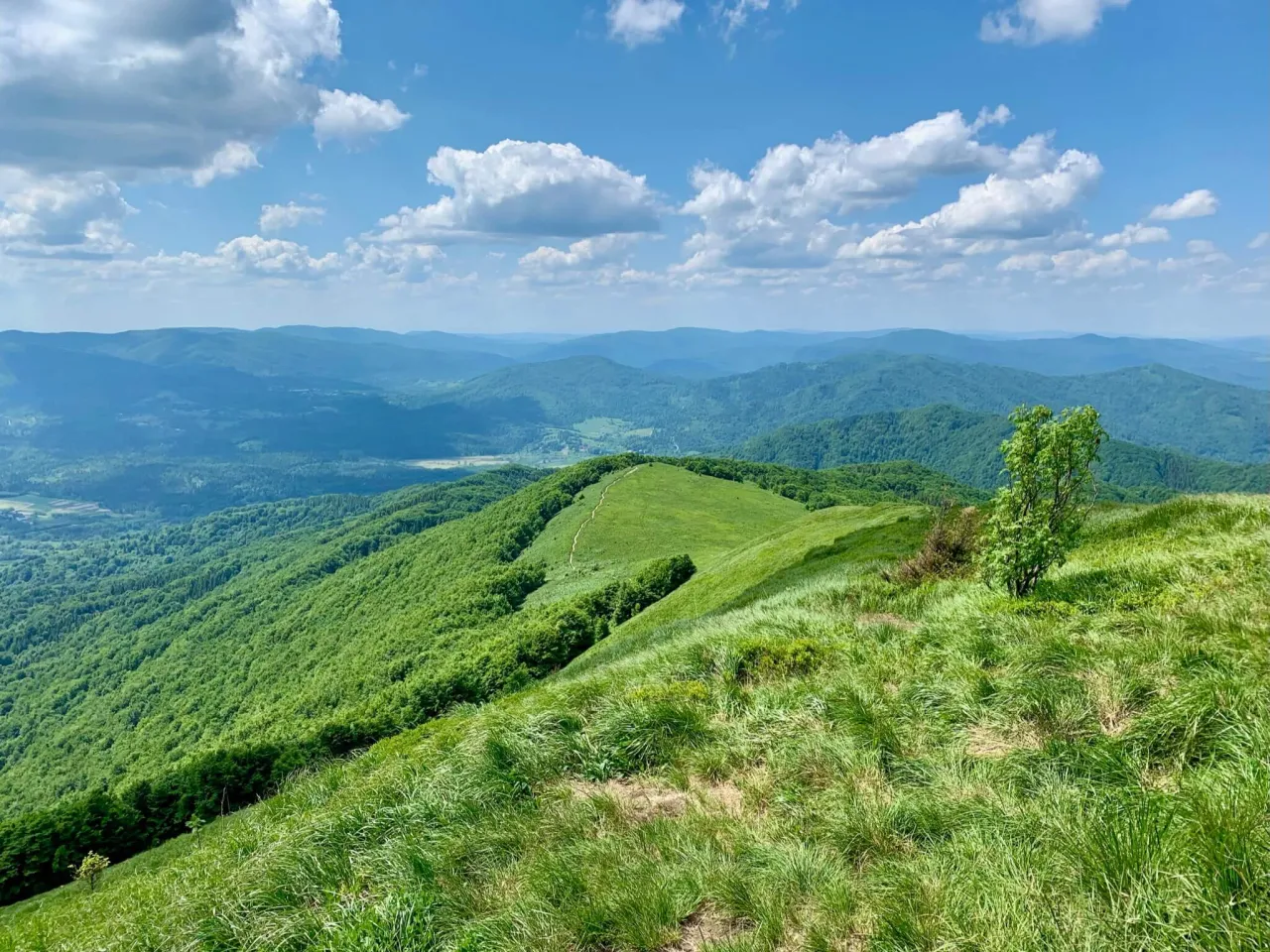 Bieszczady połoniny lato