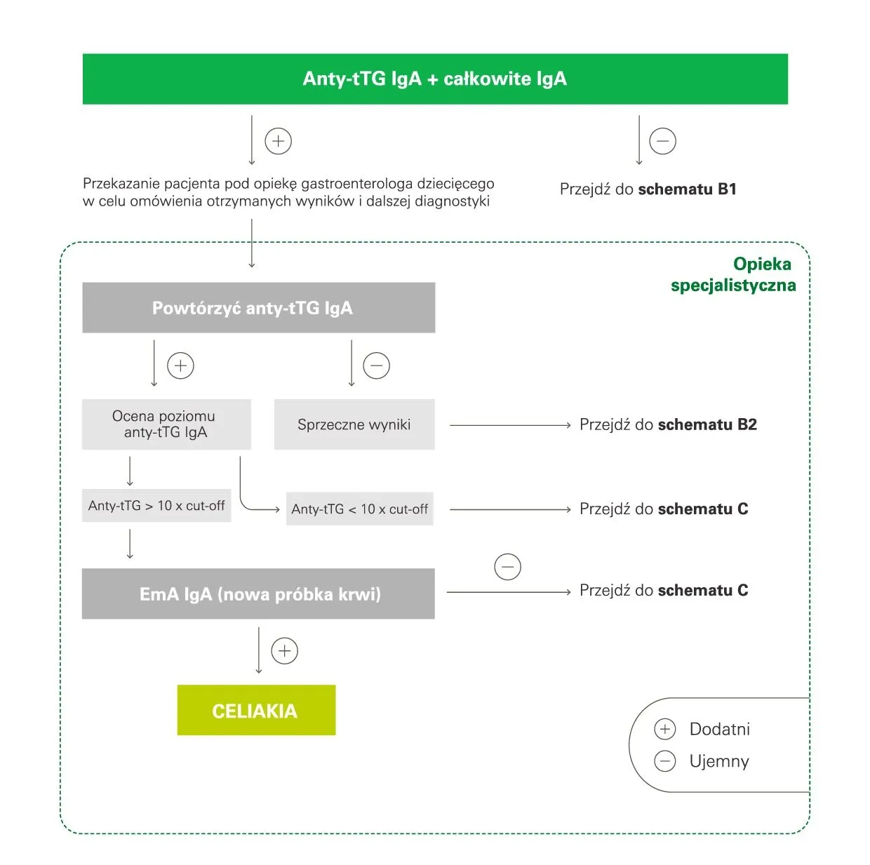 diagnostyka celiakii schemat