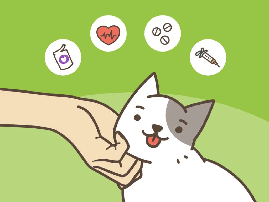 odpowiedzialna opieka nad kotem sterylizacja