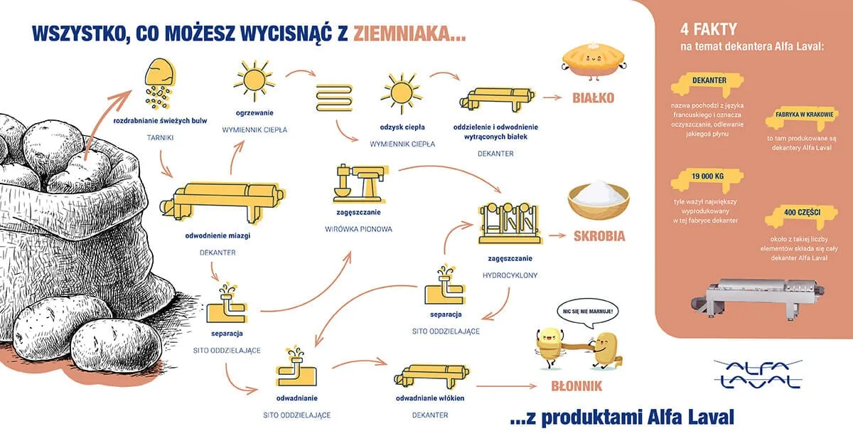 produkcja skrobi ziemniaczanej schemat