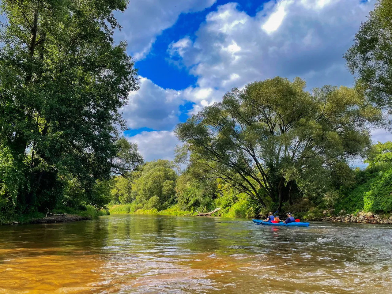 spływ kajakowy Mała Panew krajobrazy
