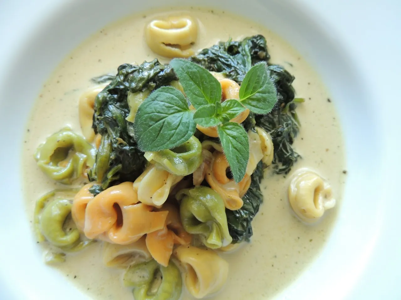 tortellini w różnych daniach