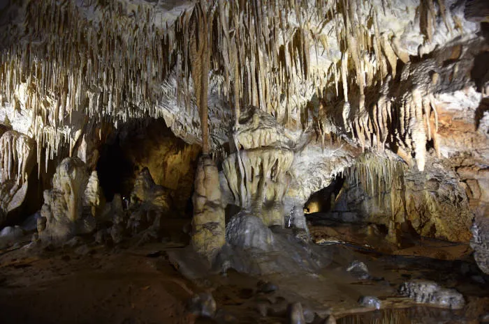 Jaskinia Raj wnętrze stalaktyty i stalagmity
