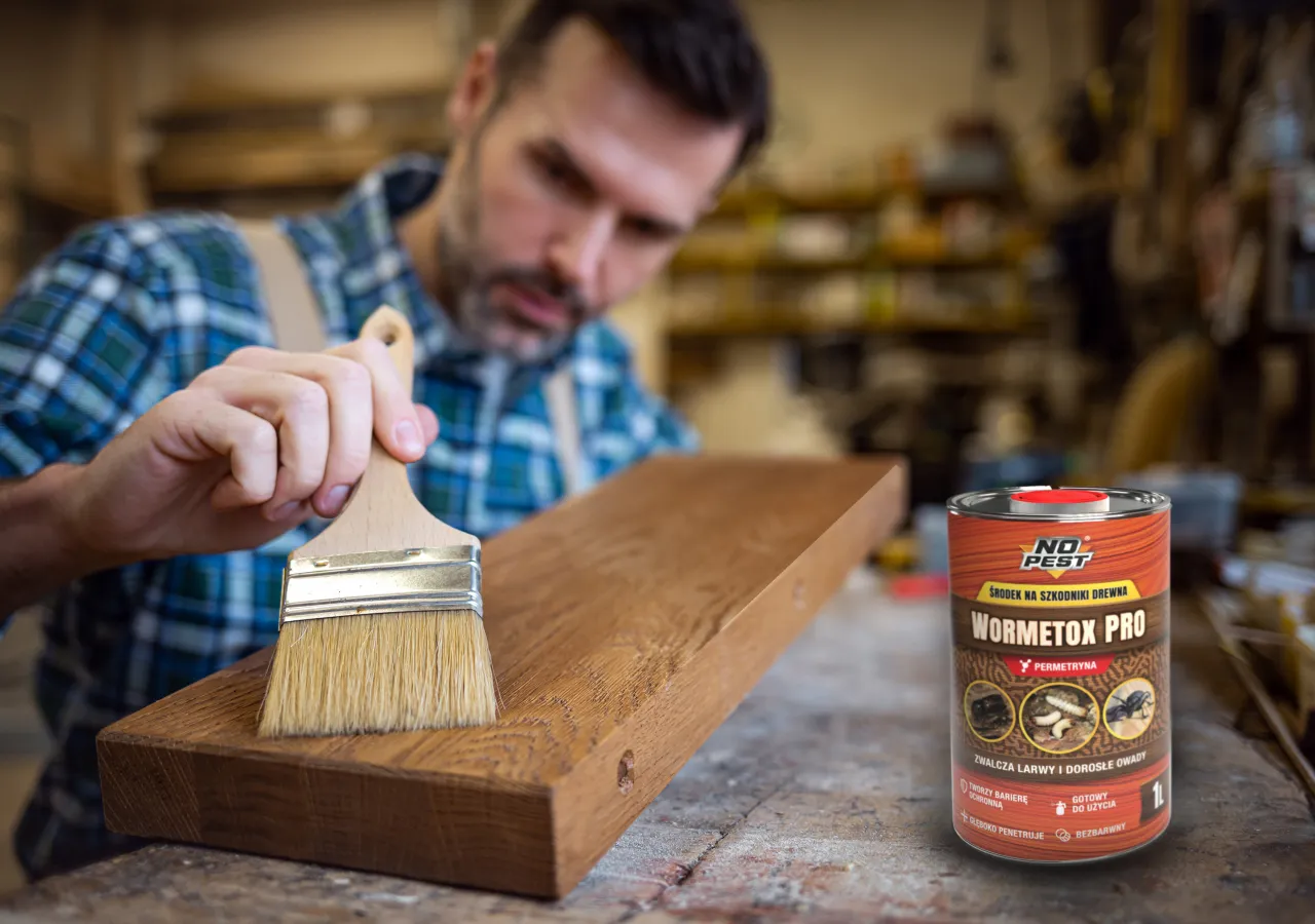 Preparaty na szkodniki drewna w meblach