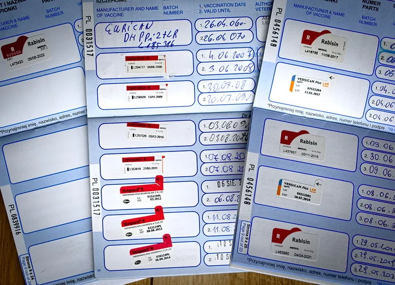 Wnętrze paszportu dla psa sekcje