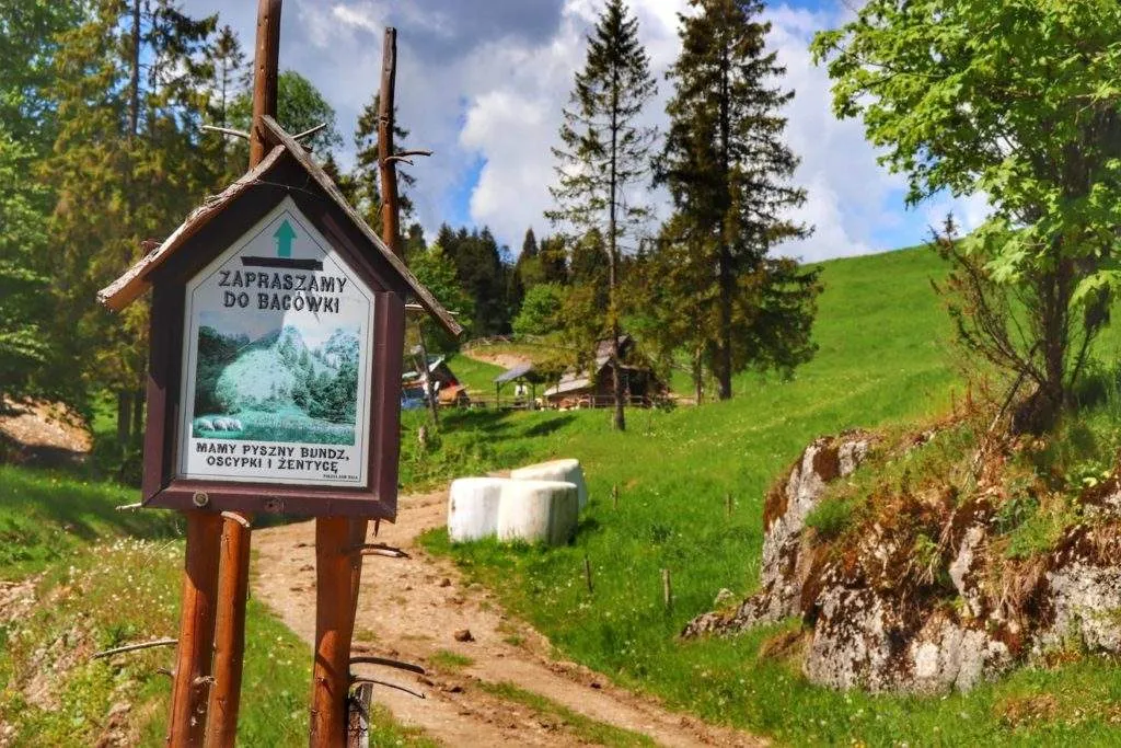 Bac&oacute;wka oscypki Rezerwat Biała Woda