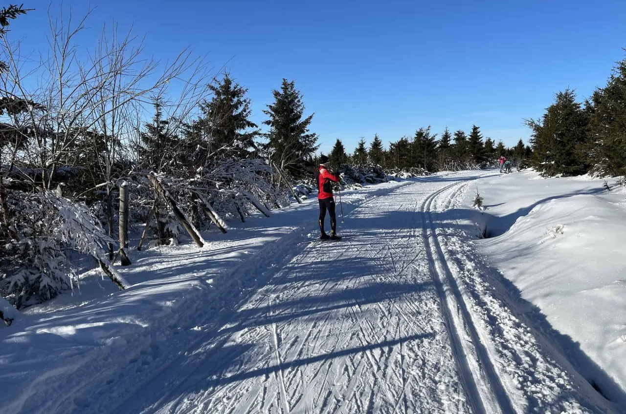 Narciarstwo biegowe Góry Orlickie trasy