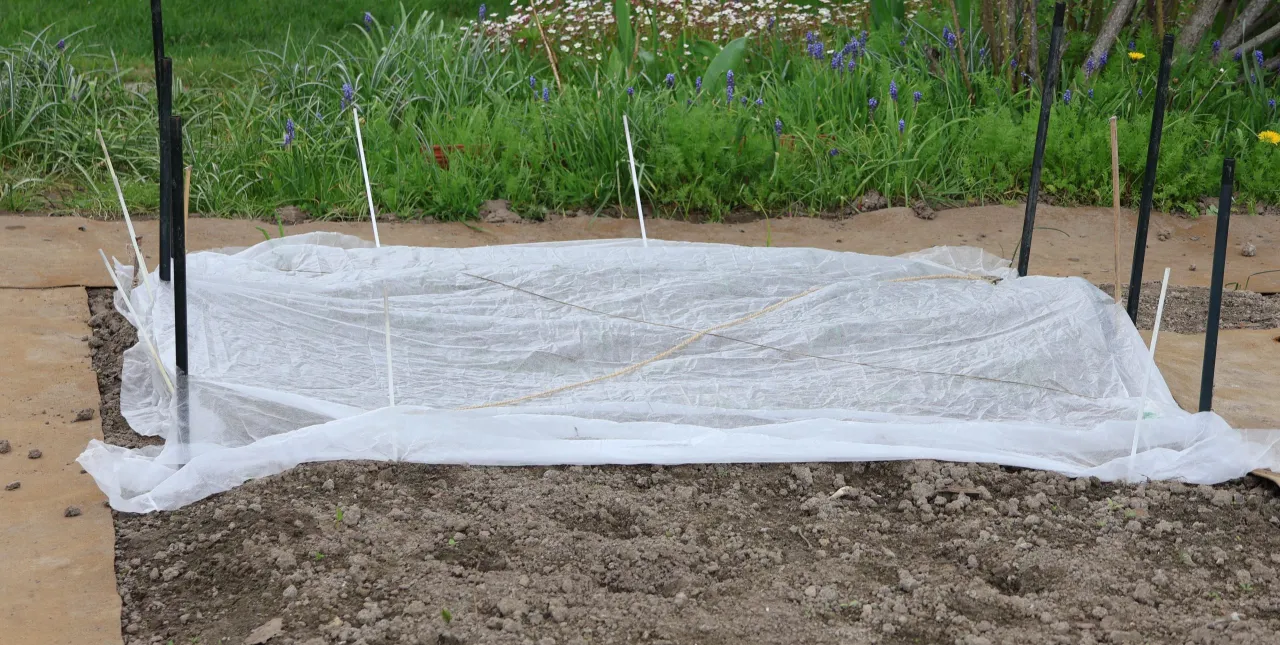 ochrona roślin przed przymrozkami kwiecień