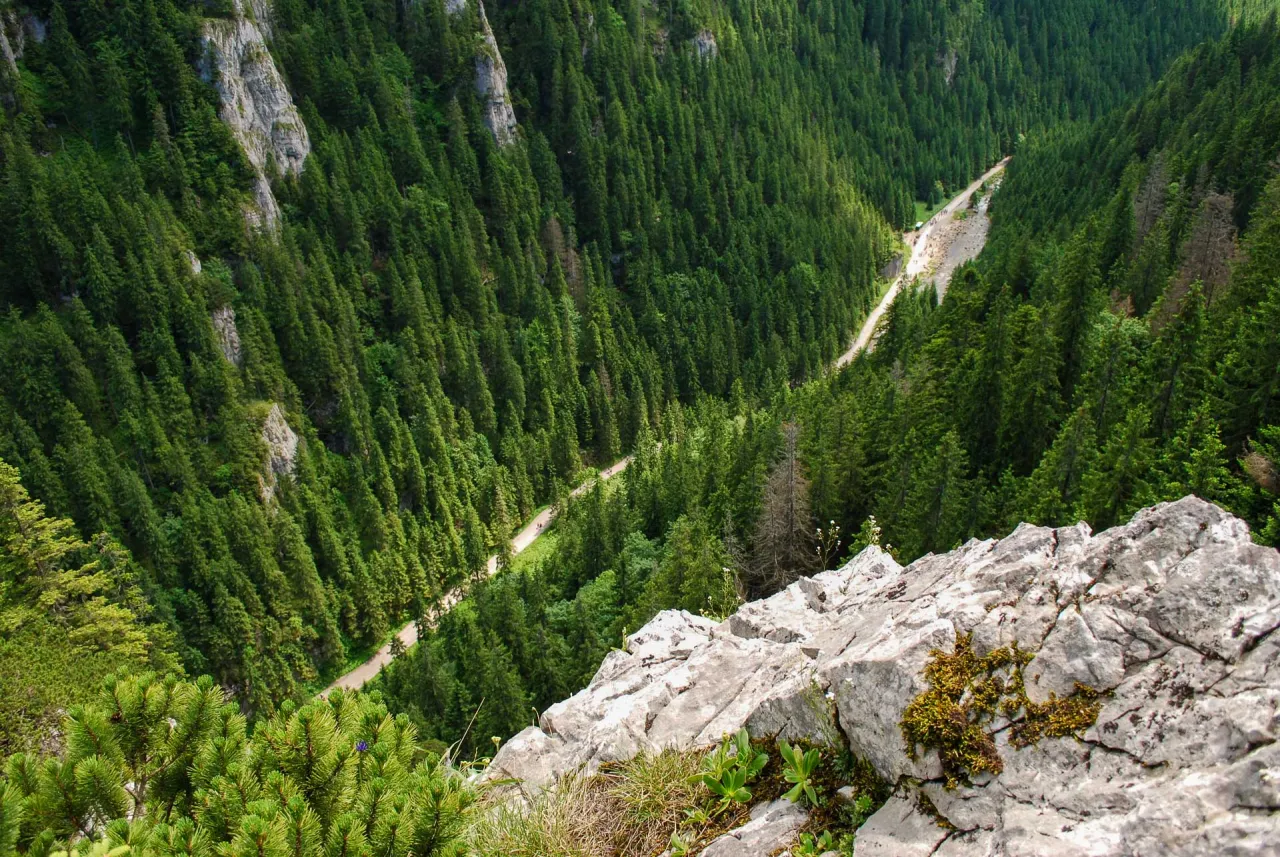 Dolina Kościeliska widok