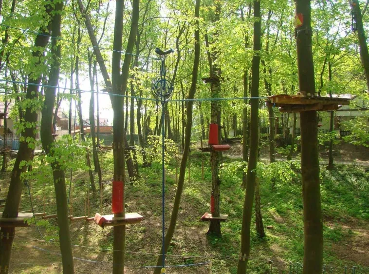 Krynica Morska Park Linowy dla dzieci