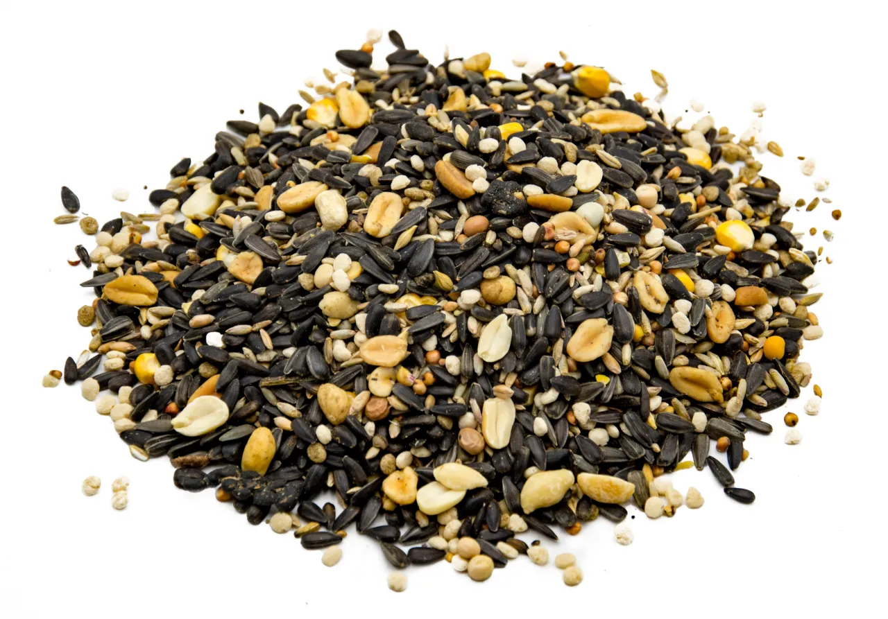 r&oacute;żne ziarna dla ptak&oacute;w słonecznik proso orzechy