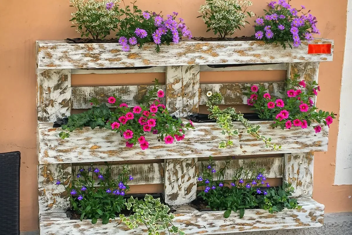 Kwitnący kwietnik z palet, z fuksjami, lobelią i astrami. Idealny pomysł, jak zrobić kwietnik z palet.