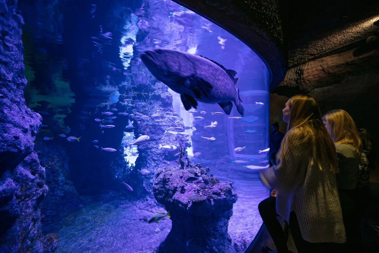 Akwarium Gdyńskie wnętrze