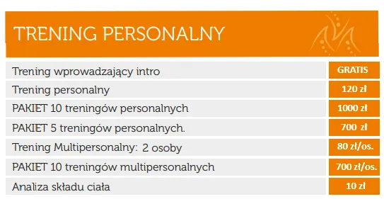 porównanie treningów personalnych indywidualny online w parze
