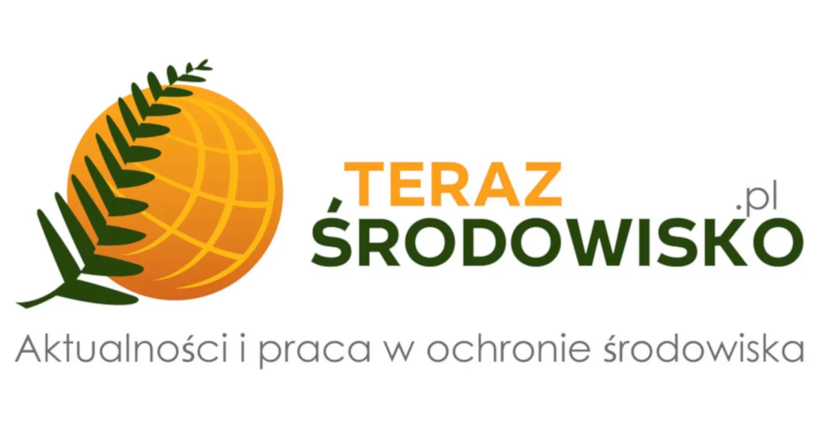 Zdjęcie Gdzie oddać elektrośmieci w Krakowie? Sprawdź najlepsze miejsca