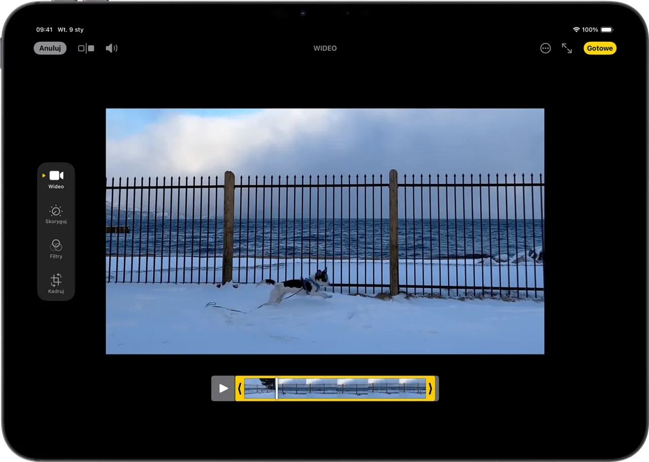 Jak zrobić filmik ze zdjęć z podkładem muzycznym na iPhone? Edytuj wideo z psem na śniegu, dodaj muzykę i efekty.