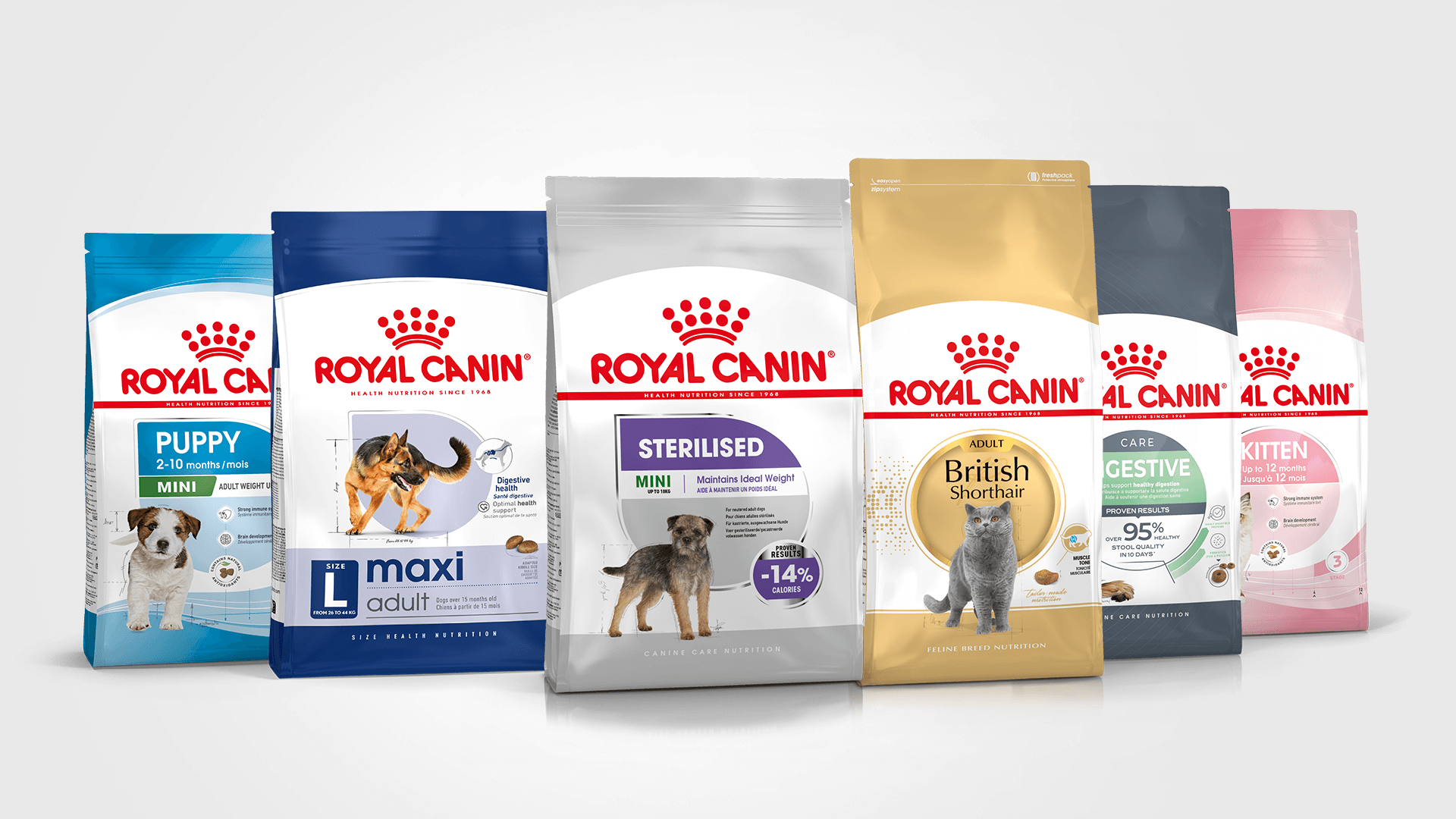 skład karmy dla psa royal canin infografika